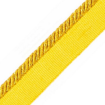 Scalamandre Trim AMBIANCE CORD WITH TAPE C BOOUTON DOR