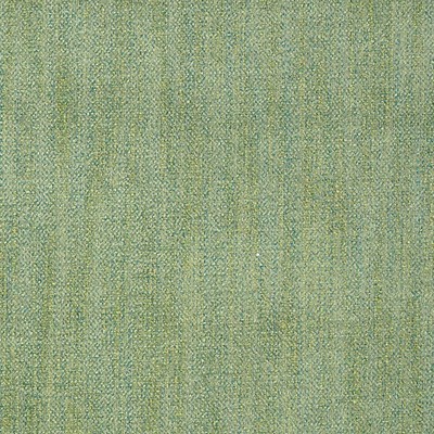 Grey Watkins TAMIL  SPRING