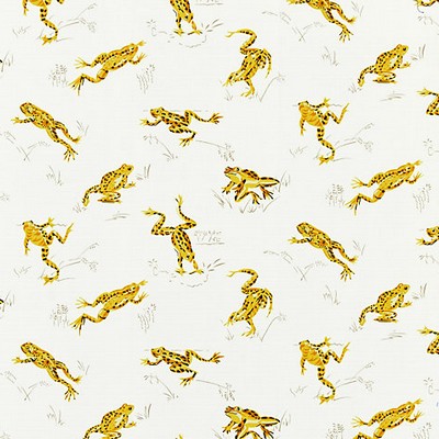 Scalamandre CALABASAS COUNTY - OUTDOOR PINEAPPLE