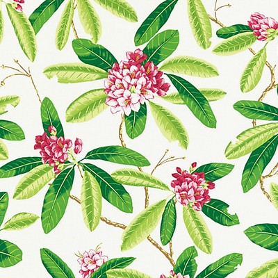 Scalamandre RHODODENDRON - OUTDOOR FUSCHIA