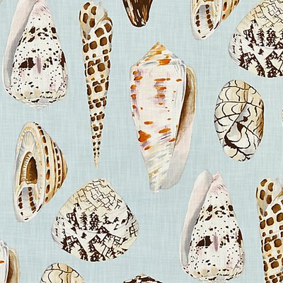 Scalamandre COQUINA - OUTDOOR MULTI ON SEA BLUE