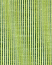 Scalamandre Tisbury Stripe Fern Fabric