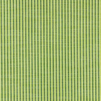 Scalamandre TISBURY STRIPE FERN