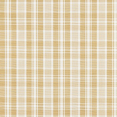 Scalamandre PRESTON COTTON PLAID CAMEL