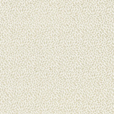 Scalamandre RISA WEAVE BIRCH