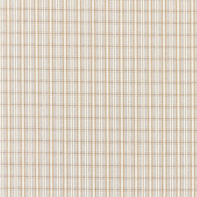 Scalamandre CHECK PLEASE - OUTDOOR BIRCH