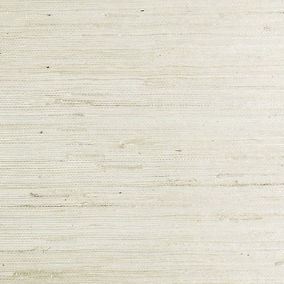 Scalamandre Wallcoverings TIGHTWEAVE JUTE SAND