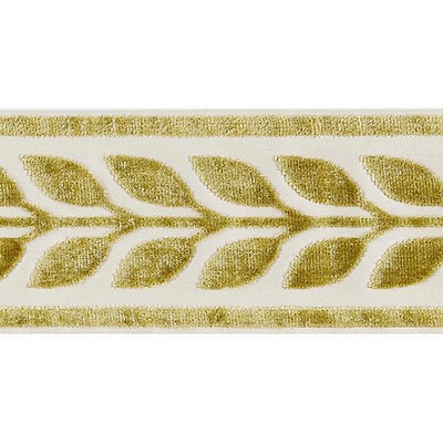 Scalamandre Trim VIGNE VELVET TAPE VERT