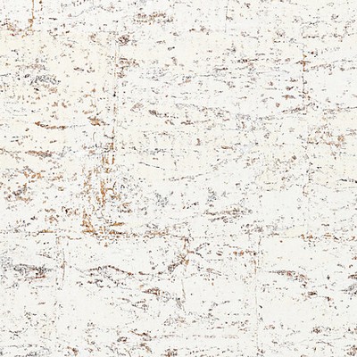 Scalamandre Wallcoverings METAL CORK WHITE BIRCH