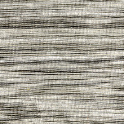 Scalamandre Wallcoverings STRIE SISAL GLACIER