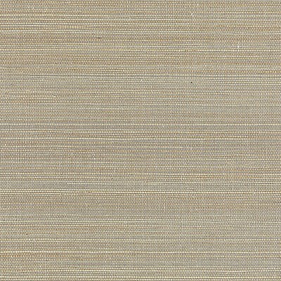 Scalamandre Wallcoverings SHANTUNG GRASSCLOTH DOVE