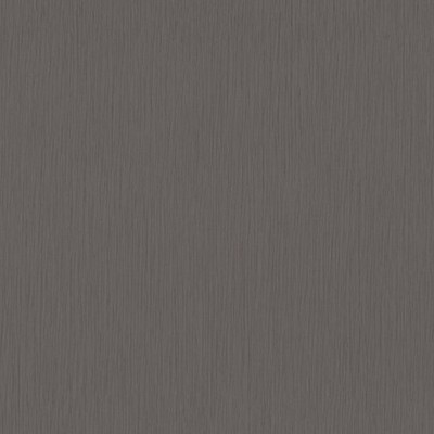 Scalamandre Wallcoverings TERRAIN CHARCOAL