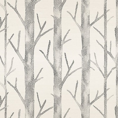Scalamandre Wallcoverings EVERETT - SILK SHADOW