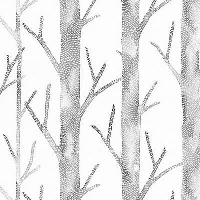 Scalamandre Wallcoverings EVERETT - VINYL SHADOW