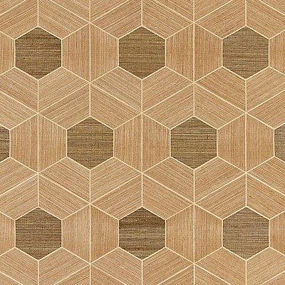 Scalamandre Wallcoverings HIVE - SISAL BURNISHED