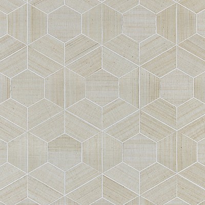 Scalamandre Wallcoverings HIVE - ABACA SNOWFLAKE