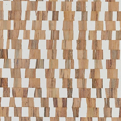 Scalamandre Wallcoverings CAPRICCIO WHOLE WHEAT