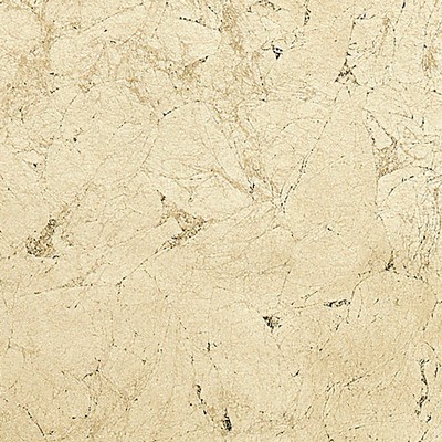 Scalamandre Wallcoverings PYRITE BRUSHED GOLD