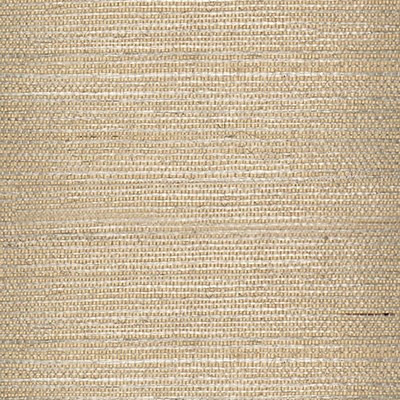 Scalamandre Wallcoverings TAJ SISAL - GROUND CHAI