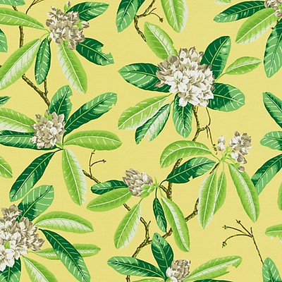 Scalamandre RHODODENDRON - OUTDOOR PINEAPPLE