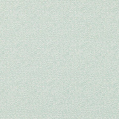 Scalamandre SHAGREEN AQUAMARINE