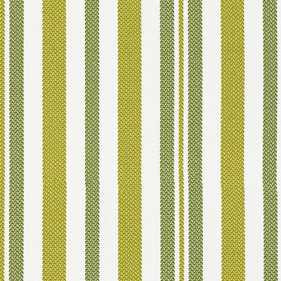 Scalamandre SANTORINI STRIPE PALM