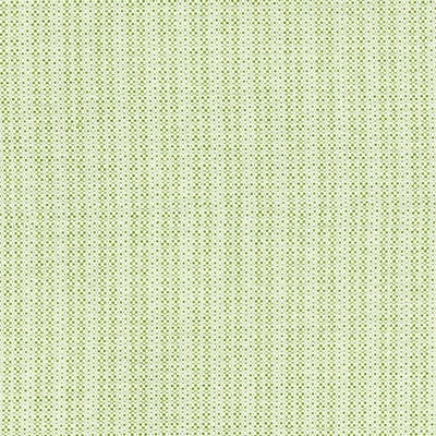 Scalamandre TAHITI TWEED PALM