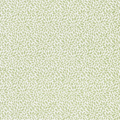 Scalamandre RISA WEAVE FERN