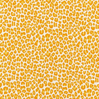 Scalamandre BACKYARD BENGAL TANGERINE