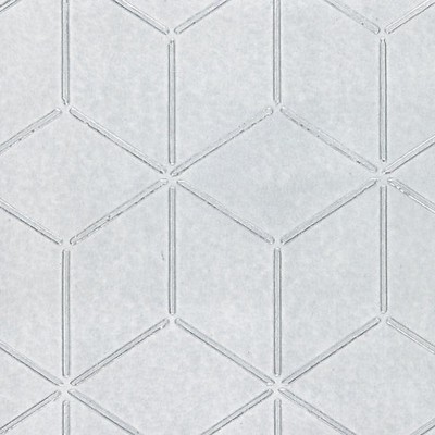 Scalamandre Wallcoverings GLACIER SILVER