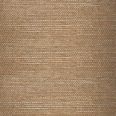 Scalamandre Wallcoverings TAJ SISAL - GROUND NUTMEG