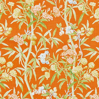 Scalamandre LANAI - OUTDOOR GUAVA