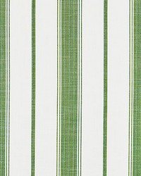 Scalamandre Sconset Stripe Vert Fabric