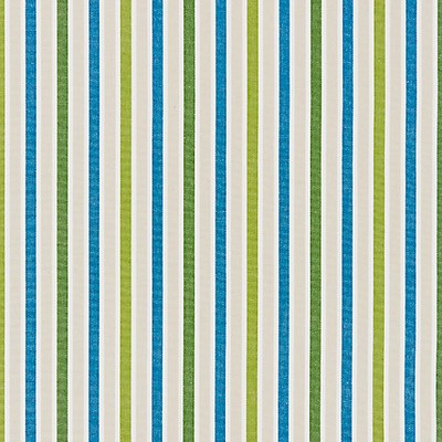 Scalamandre LEEDS COTTON STRIPE OCEAN PALM