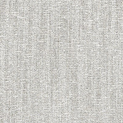 Scalamandre HAIKU WEAVE FLINT