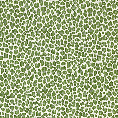 Scalamandre BACKYARD BENGAL IVY