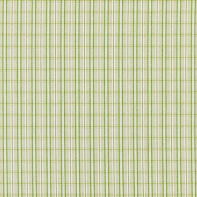 Scalamandre CHECK PLEASE - OUTDOOR FERN