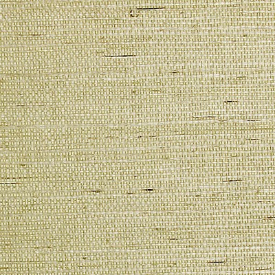 Scalamandre Wallcoverings SISAL WHEAT