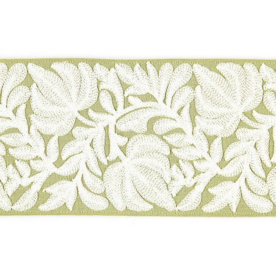 Scalamandre Trim COVENTRY EMBROIDERED TAPE CELERY