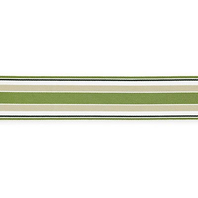 Scalamandre Trim MARINA STRIPE TAPE PALM