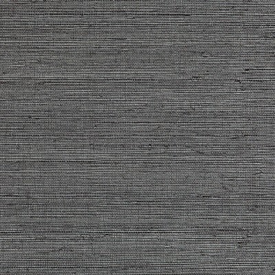 Scalamandre Wallcoverings METAL SISAL PEWTER