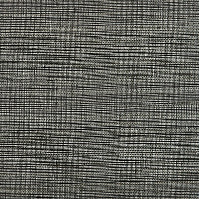 Scalamandre Wallcoverings STRIE SISAL GRAPHITE