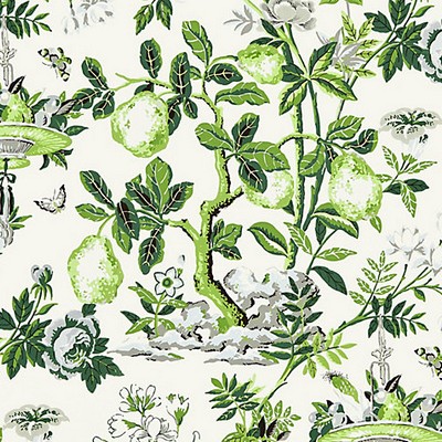 Scalamandre Wallcoverings SHANTUNG GARDEN VERDANCE