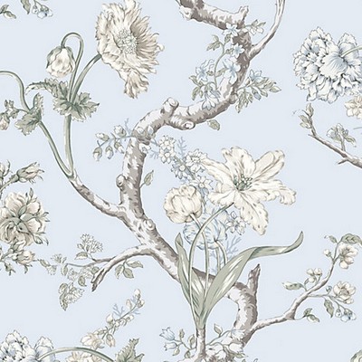 Scalamandre Wallcoverings ANDREW JACKSON FLORAL SKYLIGHT