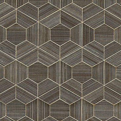 Scalamandre Wallcoverings HIVE - ABACA GRAPHITE