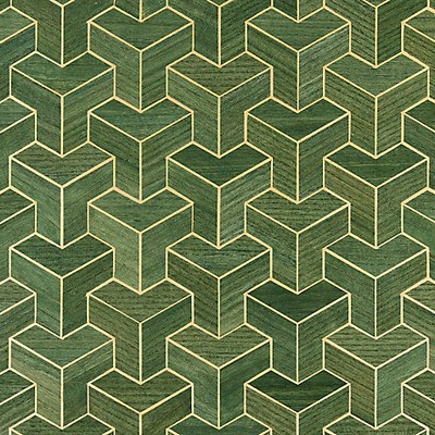 Scalamandre Wallcoverings FORTE - WOOD CACTUS