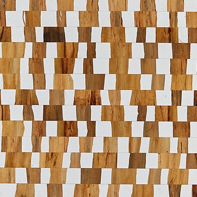 Scalamandre Wallcoverings CAPRICCIO COIN