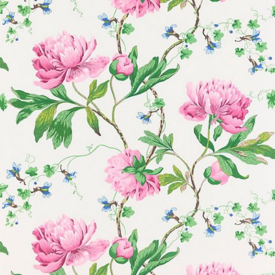 Scalamandre Wallcoverings ISADORA WALLCOVERING PETAL