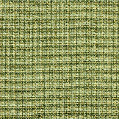 Scalamandre HIGHLAND CHENILLE GRASS