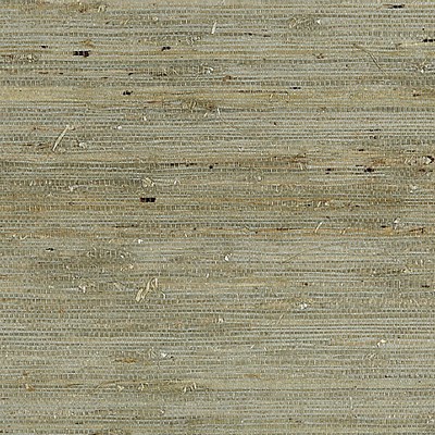 Scalamandre Wallcoverings ARROWROOT WEAVE WATER